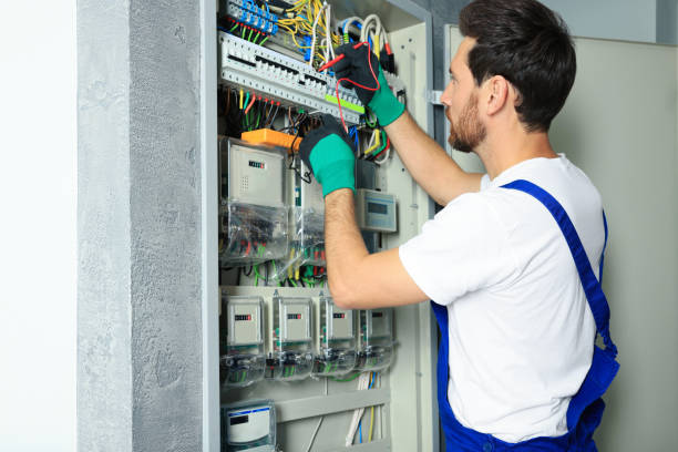 Best Electrical System Inspection  in Guttenberg, IA