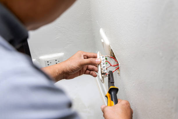 Best Electric Panel Repair  in Guttenberg, IA